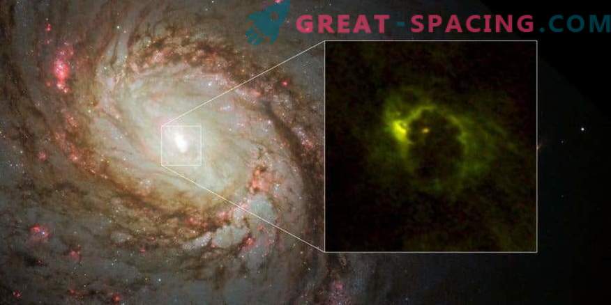 Gaasi sõõrik supermassive musta auku ümber