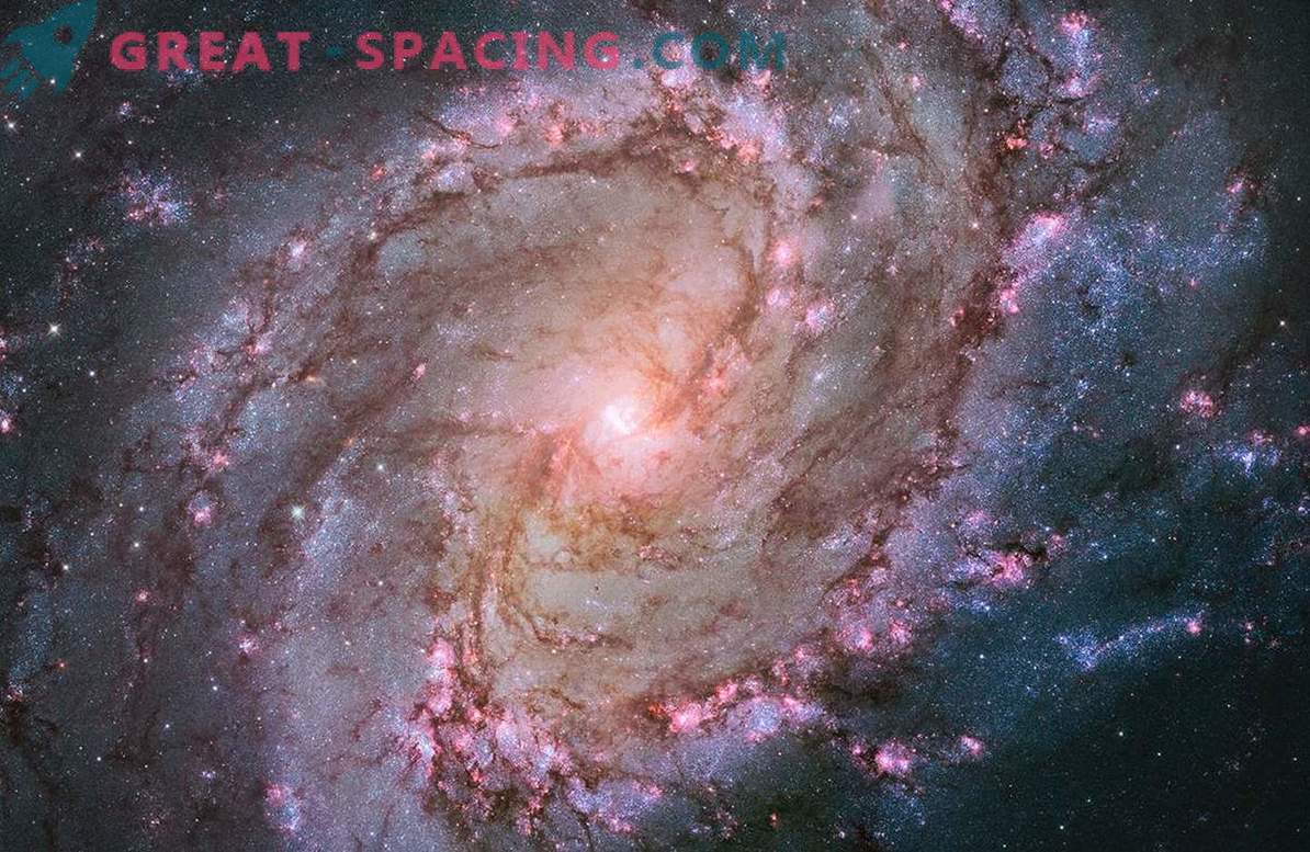 Hubble'i teleskoop näitas lõunapoolse ratta galaktika tähtede elu
