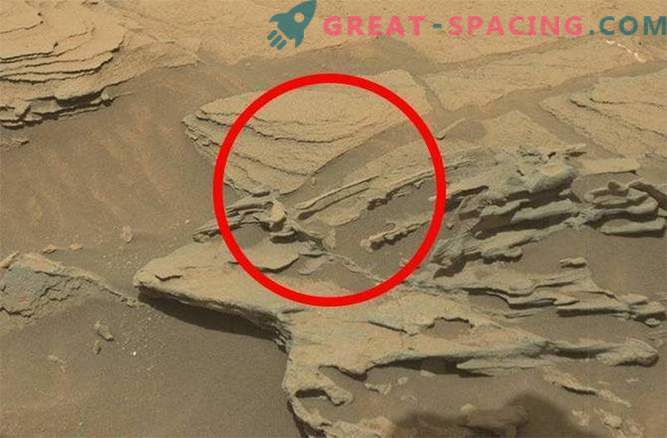 Uudishimu avastas Marsil 