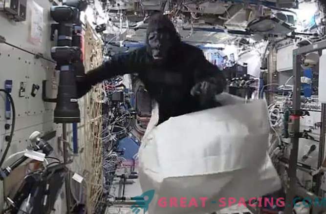 Astronaut on naljakas ahvipaljega kosmosejaamas