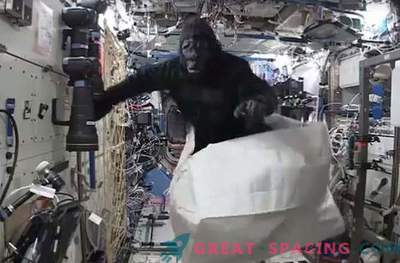 Astronaut scherzte mit einem Affenkostüm auf einer Raumstation