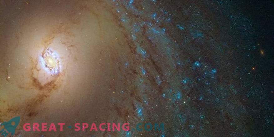 Galaktika M 95 hämmastavad rõngad