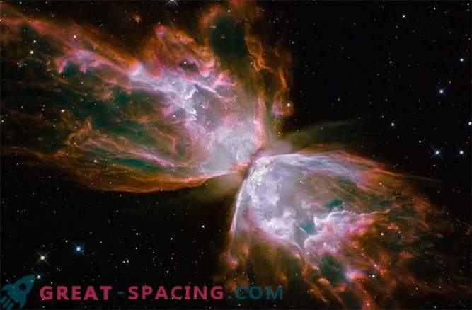 Oyster Nebula eepiline vaade