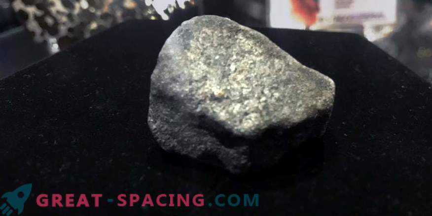 Kiire avastamine ja taastamine - meteoriidi jahi teadus
