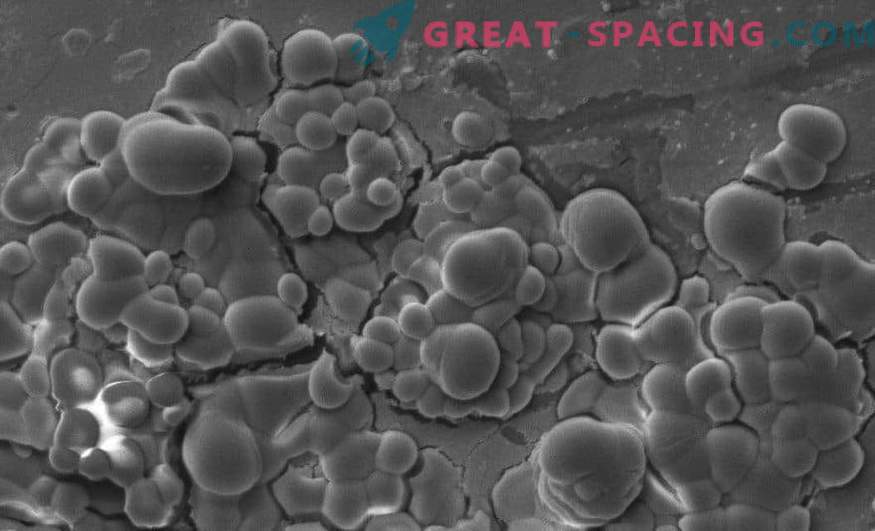 Mikroobide jäljed Marsi kaljudel
