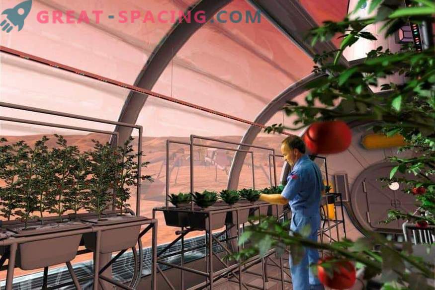 NASA saadab taimi Marsisse?