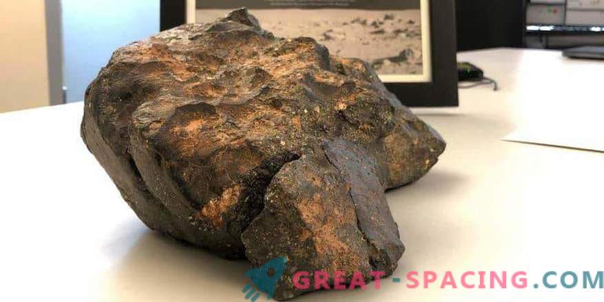 Lunari meteoriit müüdi 600 000 dollari eest.