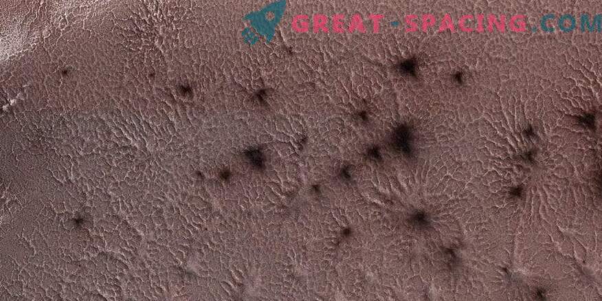 Marsi ämblikud kujutavad NASA-le.